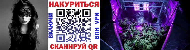 Каннабис VHQ  OMG вход  Стародуб 
